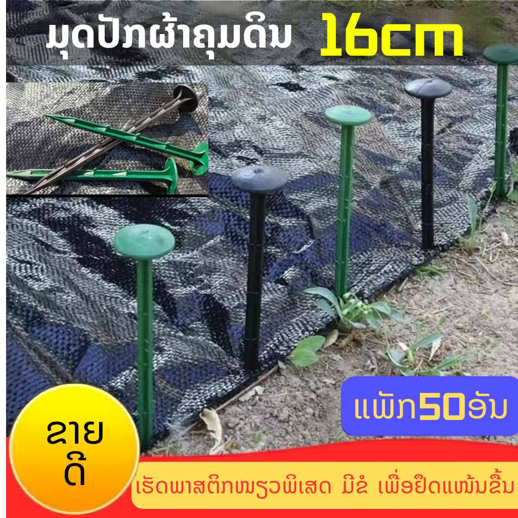 ຕະປູຢາງ ຫຼື ມຸດປັກຜ້າຄຸມດິນ 50 ອັນ
