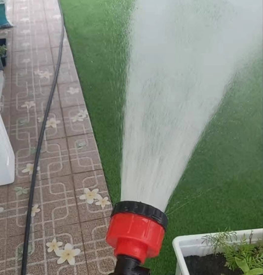 ຫົວບົວຫົດຜັກ