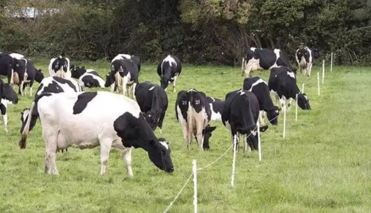 ເຄື່ອງຄຸມຮົ້ວໄຟຟ້າ2ລະບົບ(ໝໍ້ໄຟ ແລະ ໄຟຟ້າບ້ານ)