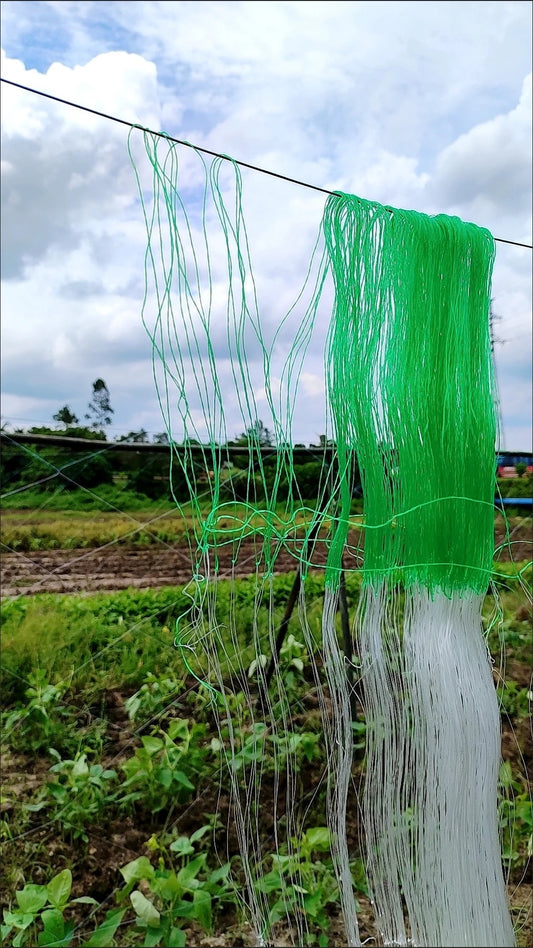 ເຊືອກ ສຳລັບຄ້າງແຕງ,ຄ້າງຖົ່ວ…….