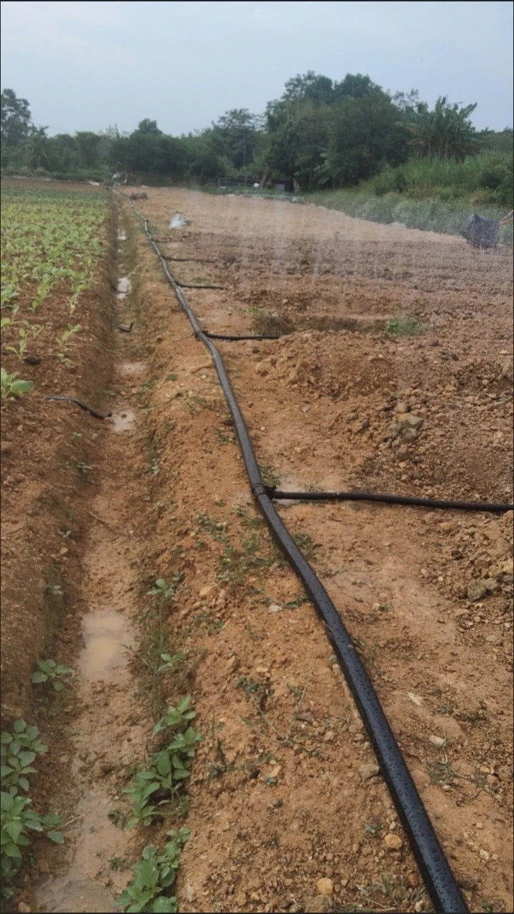 ທໍ່ນ້ຳພຸ້ງ 1ນິ້ວ ຍາວ 200m 5ຮູ