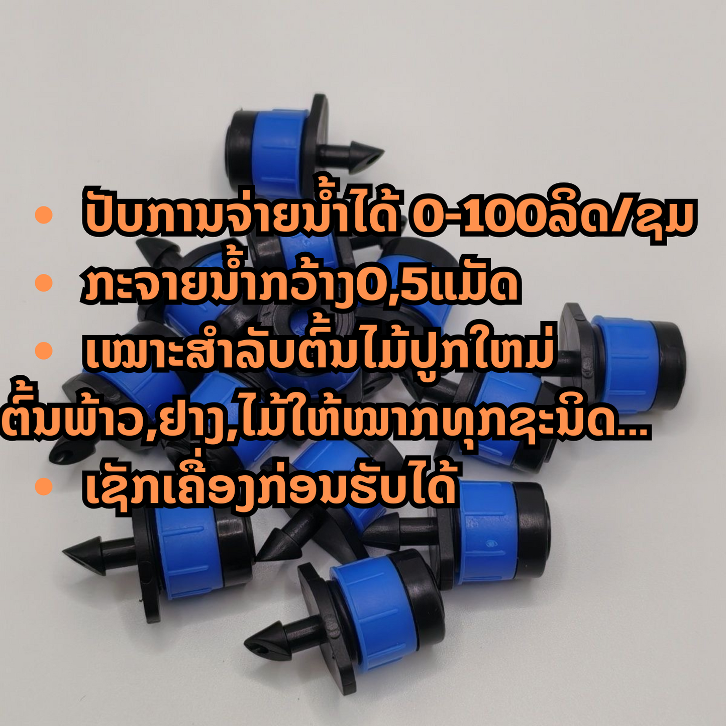 ຫົວພຸ້ງສີຟ້າ (ຖົງ50ຫົວ)