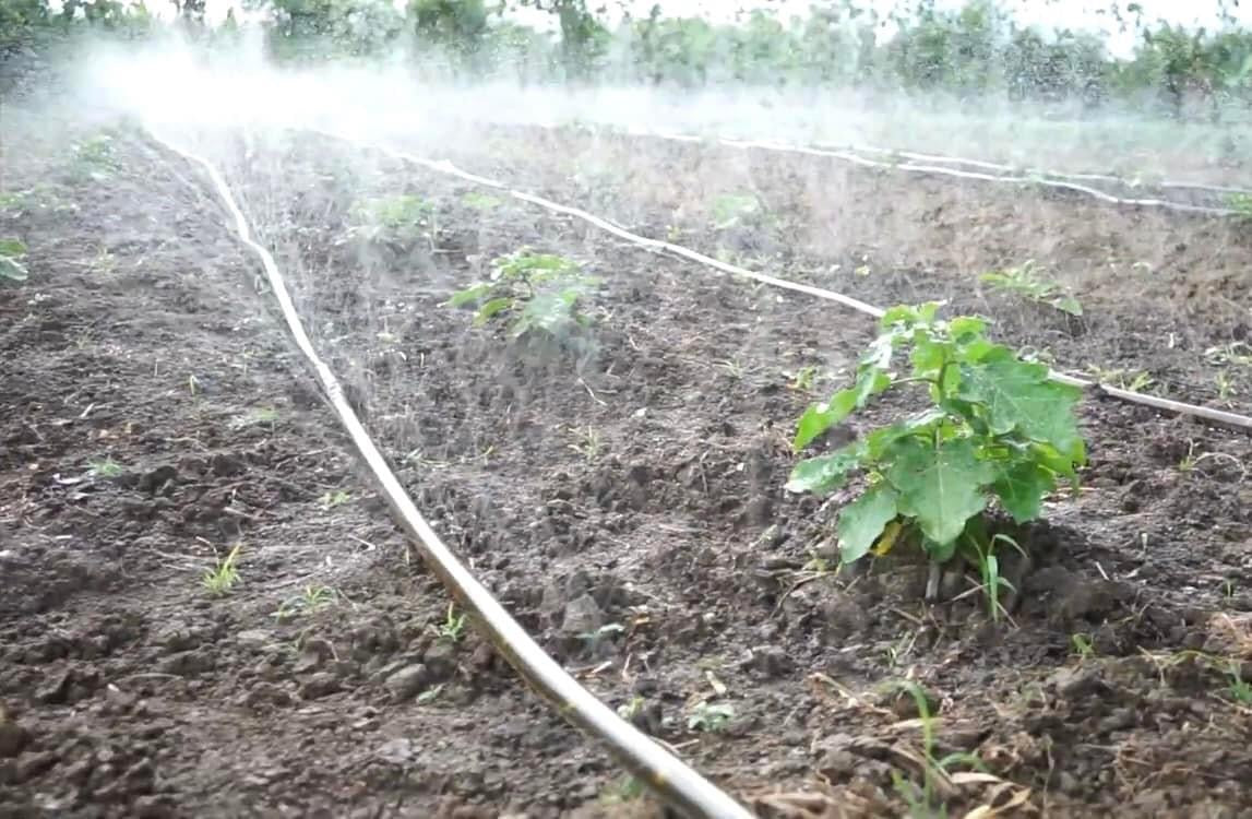 ທໍ່ນ້ຳພຸ້ງ ຍາວ 200m