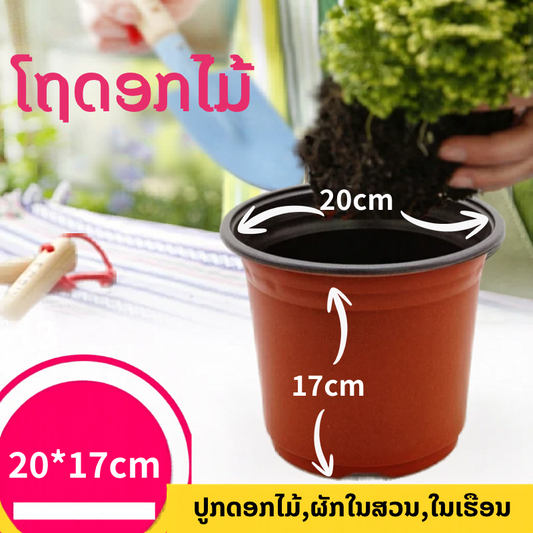 ໂຖດອກໄມ້