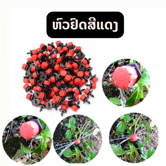 ຫົວຢົດສີແດງ (ຖົງ100ຫົວ)