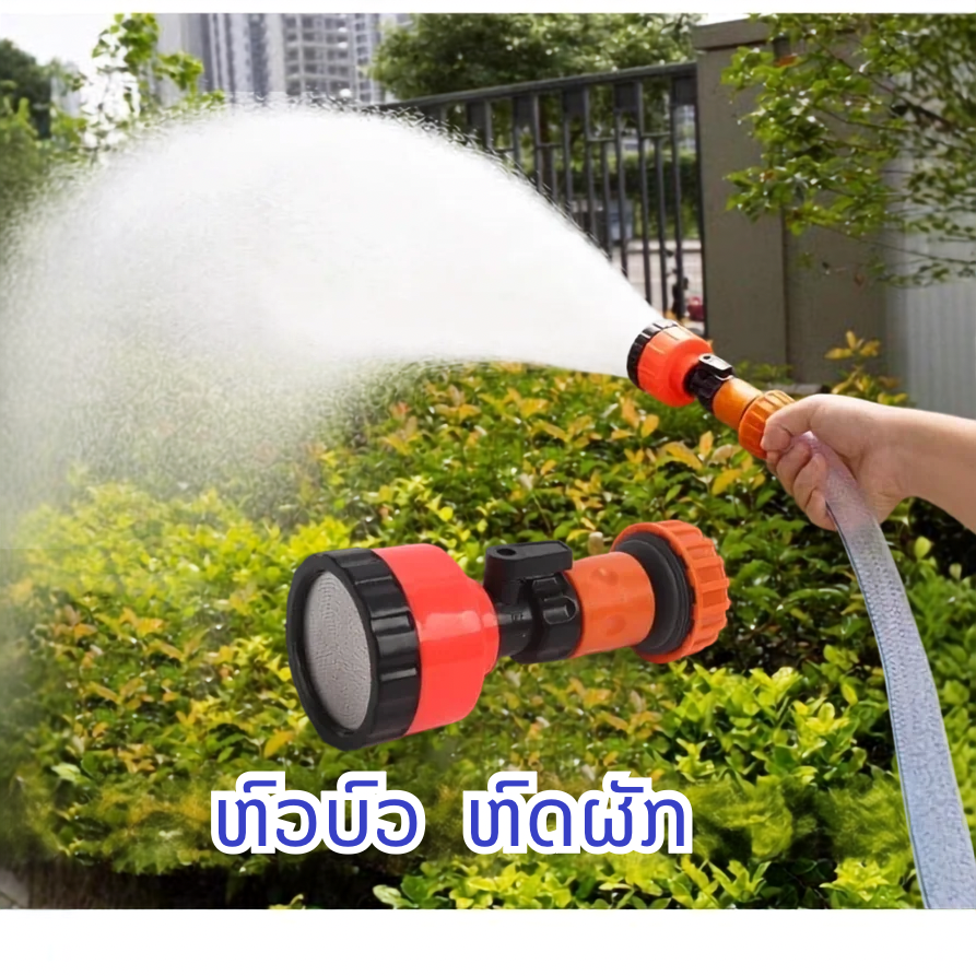 ຫົວບົວຫົດຜັກ