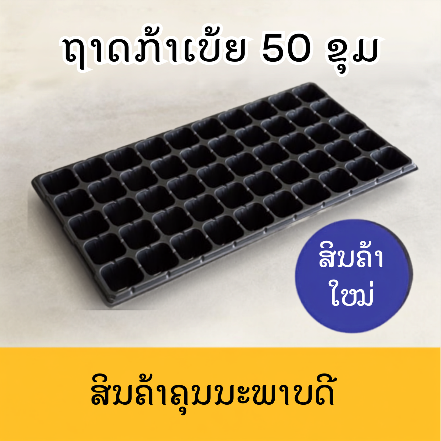 ຖາດກ້າເບ້ຍ 50 ຂຸມ