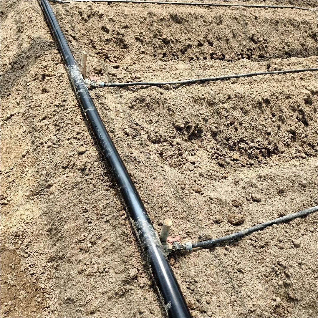 ທົ່ງສົ່ງນ້ຳ pe ອ່ອນ