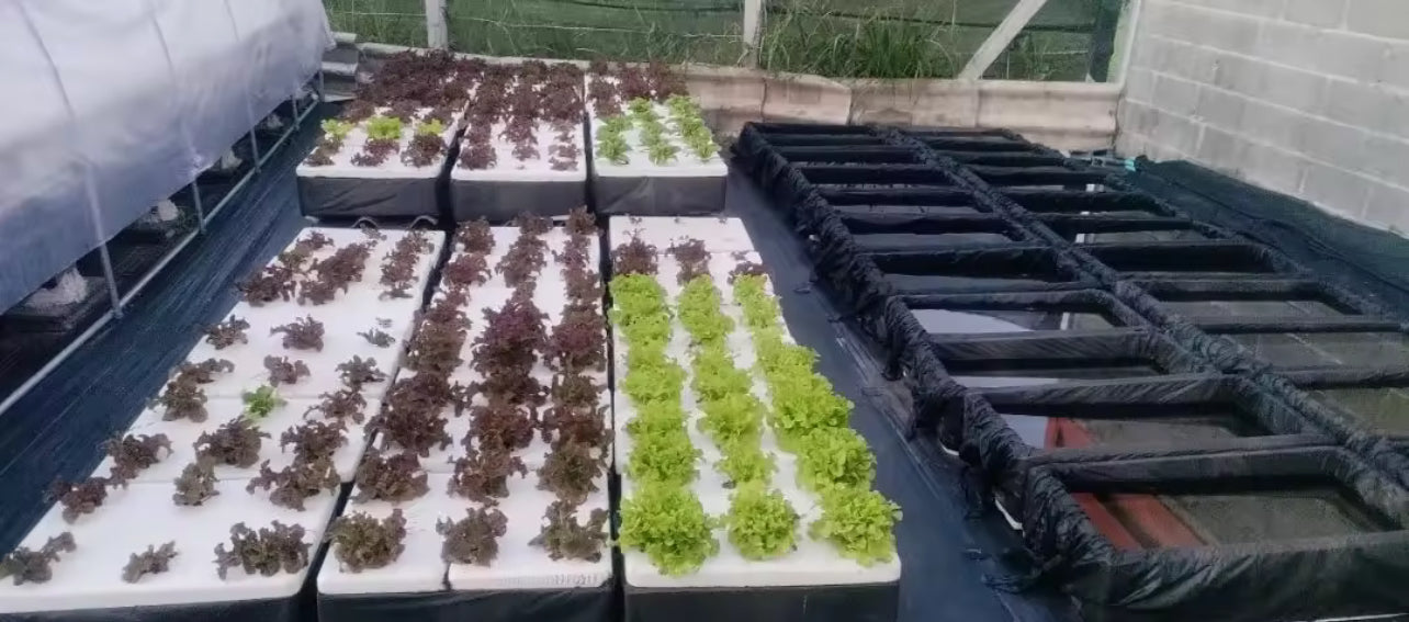 ຜ້າຄຸມດິນນ້ຳຊຶມ 1*100m