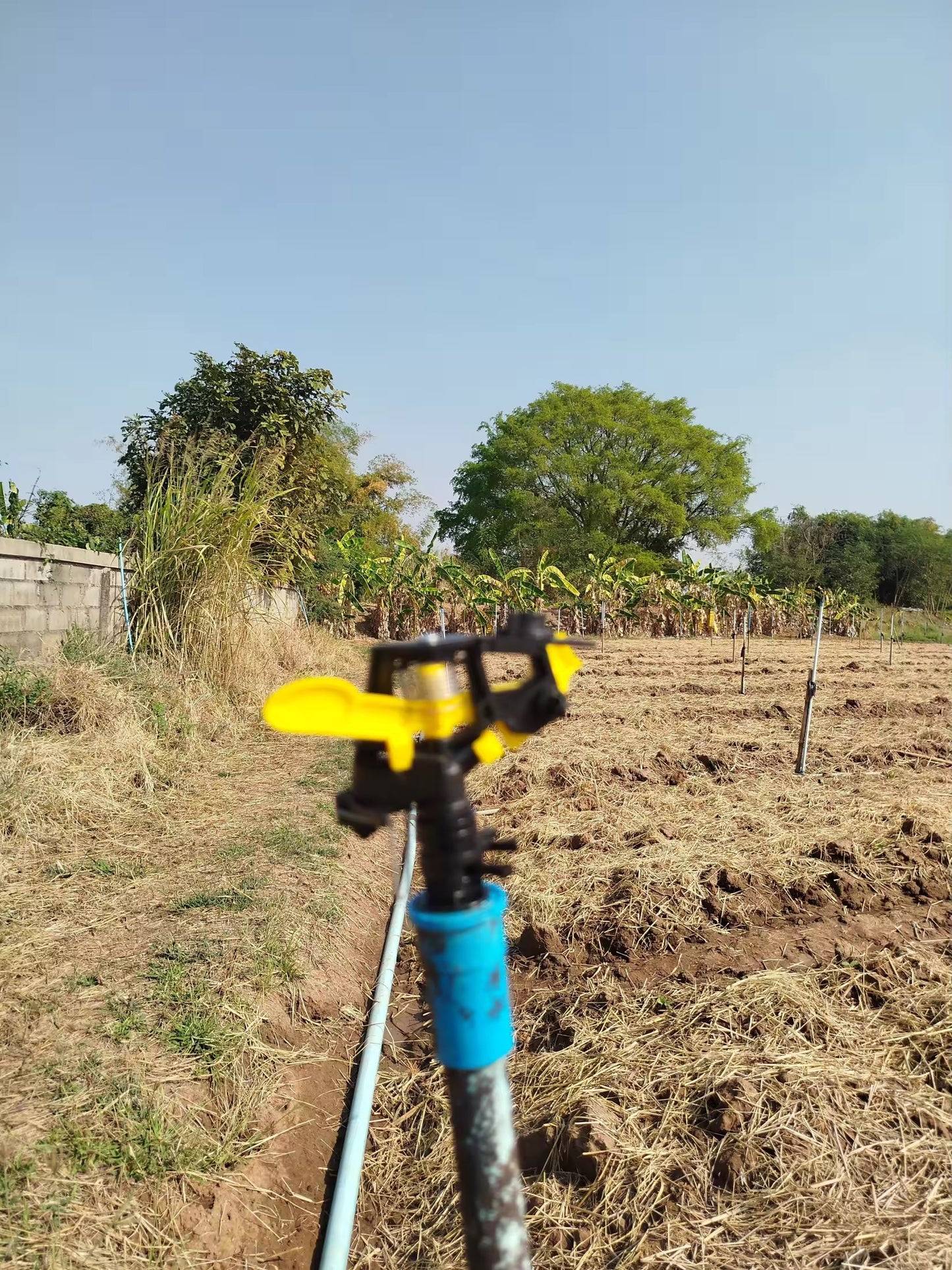 ສະປິງເກີ້360ອົງສາ