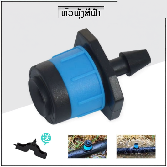 ຫົວພຸ້ງສີຟ້າ (ຖົງ50ຫົວ)
