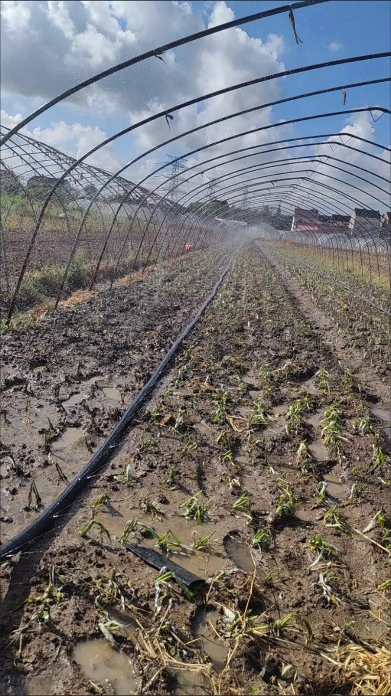 ທໍ່ນ້ຳພຸ້ງ ຍາວ 200m