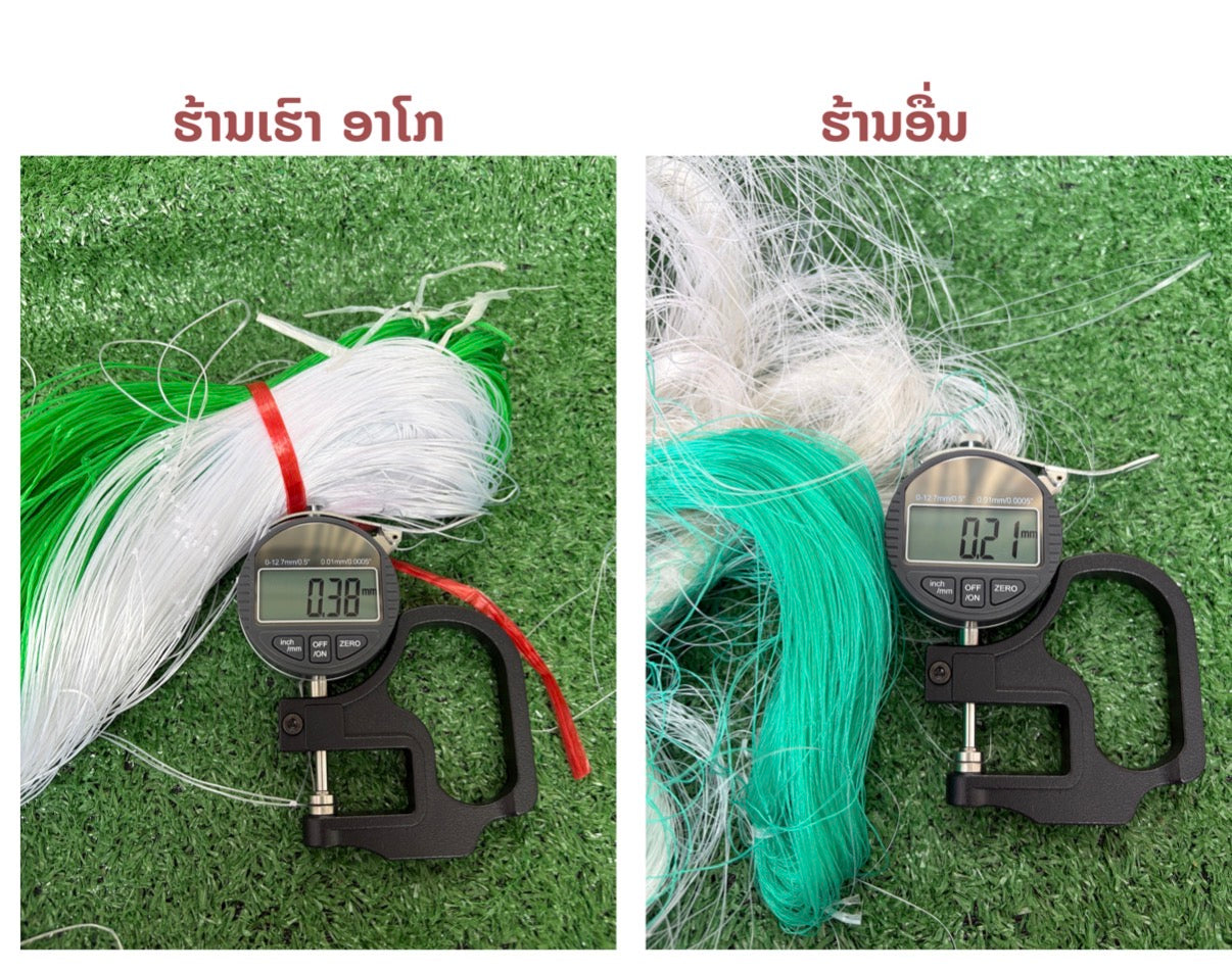 ຄ້າງແຕງ,ຄ້າງຖົ່ວ…ໄມ້ເລືອ