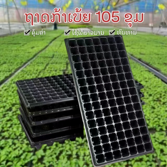 ຖາດກ້າເບ້ຍ 105 ຂຸມ.