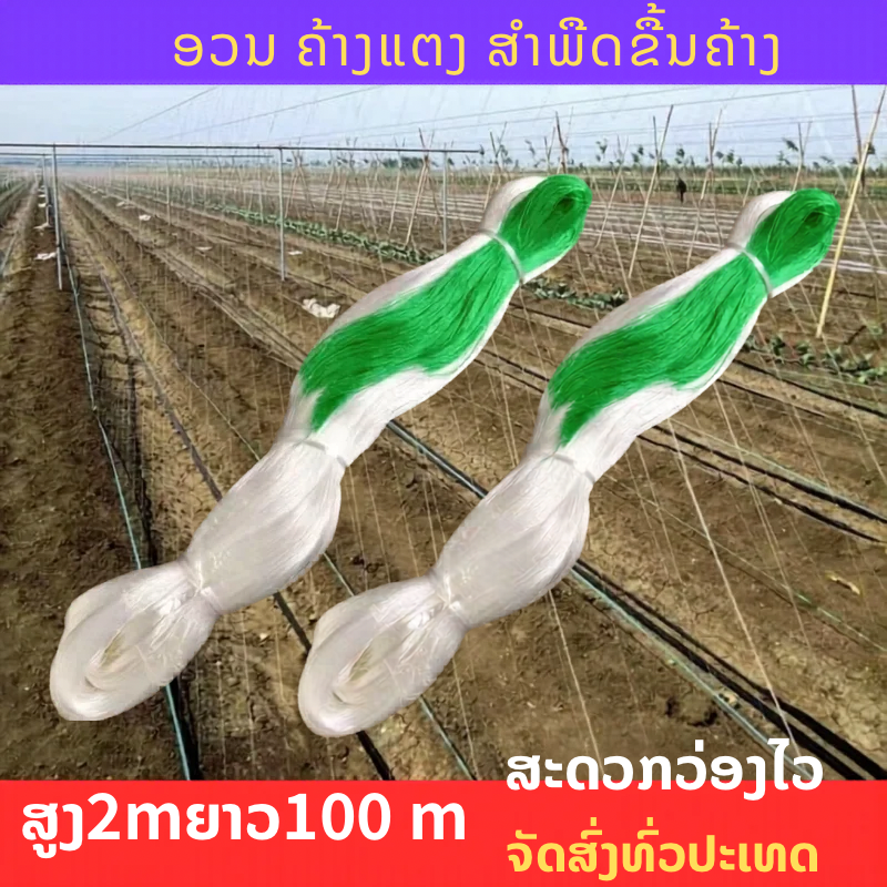 ຄ້າງແຕງ