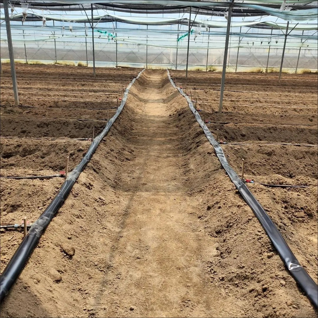 ທົ່ງສົ່ງນ້ຳ pe ອ່ອນ