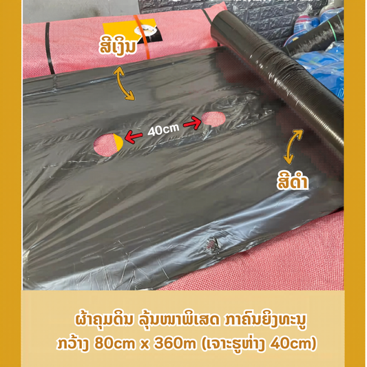 ຜ້າຄຸມດິນ 80cm/360m (ໄທ) ແບບເຈາະຮູຫ່າງ 40 cm