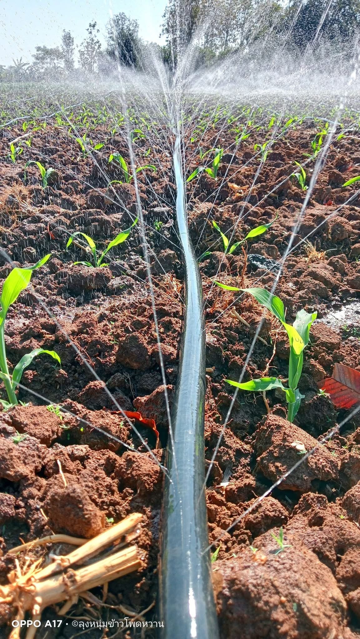 ທໍ່ນ້ຳພຸ້ງ ຍາວ 200m