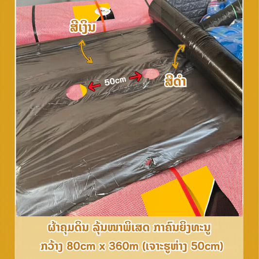 ຜ້າຄຸມດິນ 80cm/360m (ໄທ) ແບບເຈາະຮູຫ່າງ 50 cm