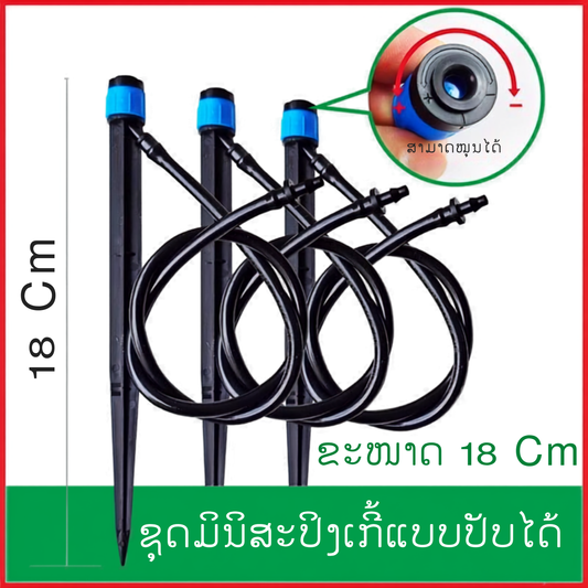 ມິນິສະປິງເກີ້+ຂາປັກ