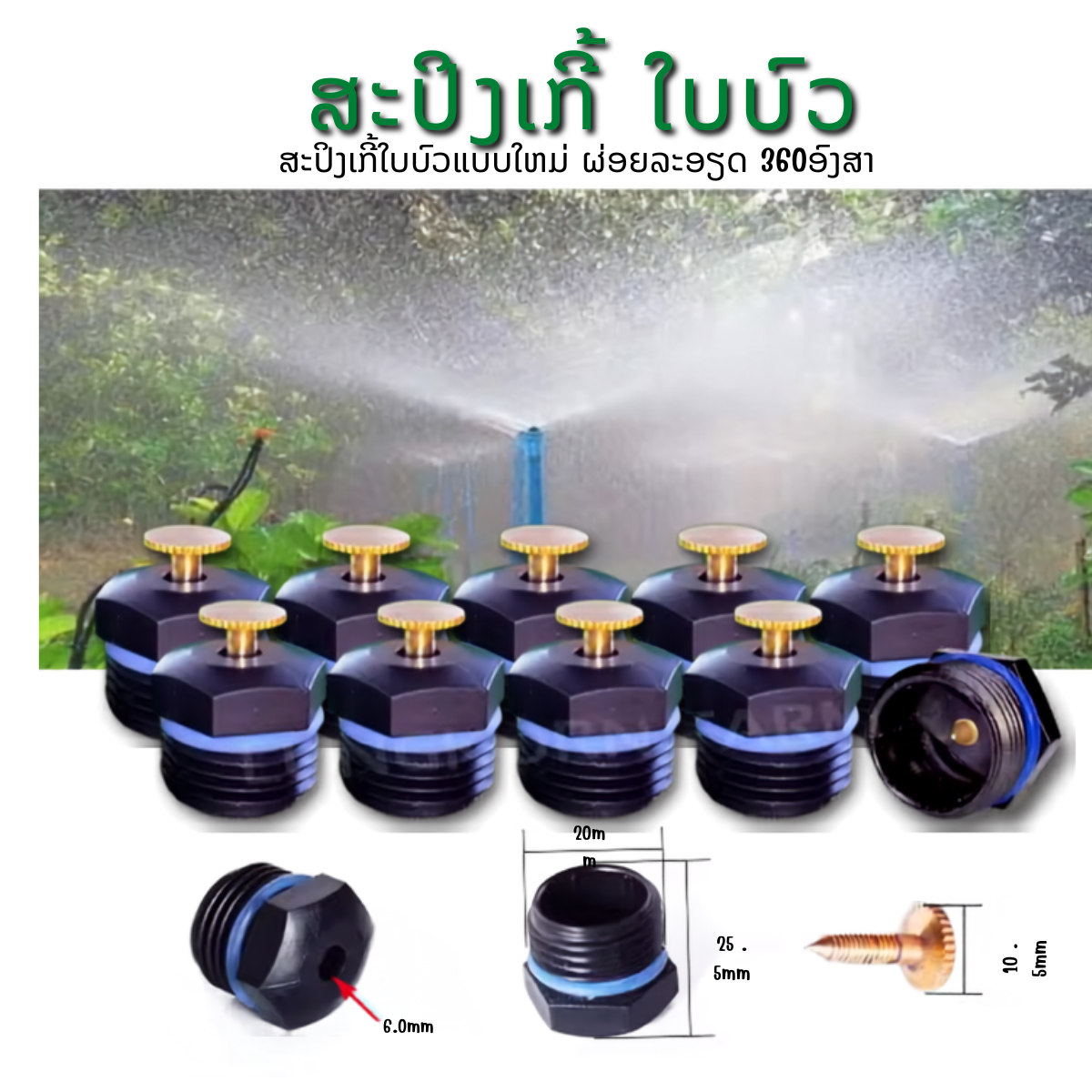 ສະປິງເກີ້ ໃບບົວ