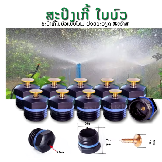 ສະປິງເກີ້ ໃບບົວ
