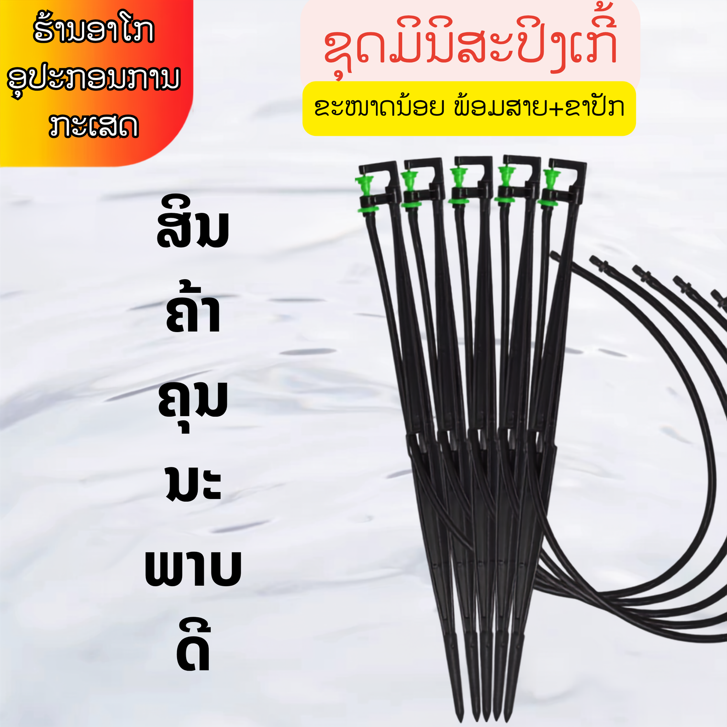 ຊຸດມິນິສະປິງເກີ້ແບບ G