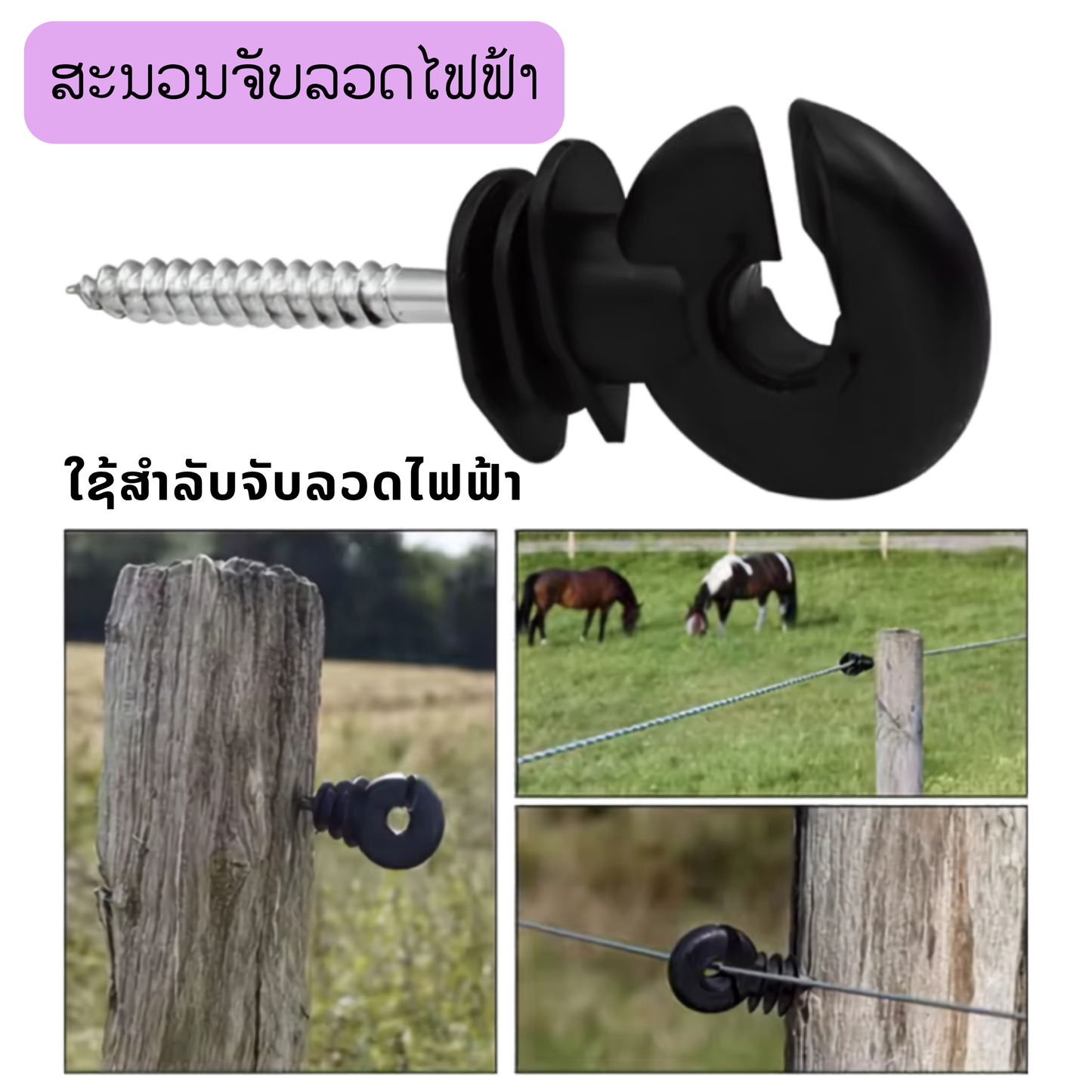 ສະນວນຈັບລວດໄຟຟ້າ 50 ອັນ