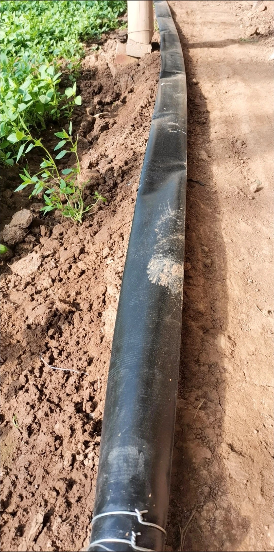 ທົ່ງສົ່ງນ້ຳ pe ອ່ອນ