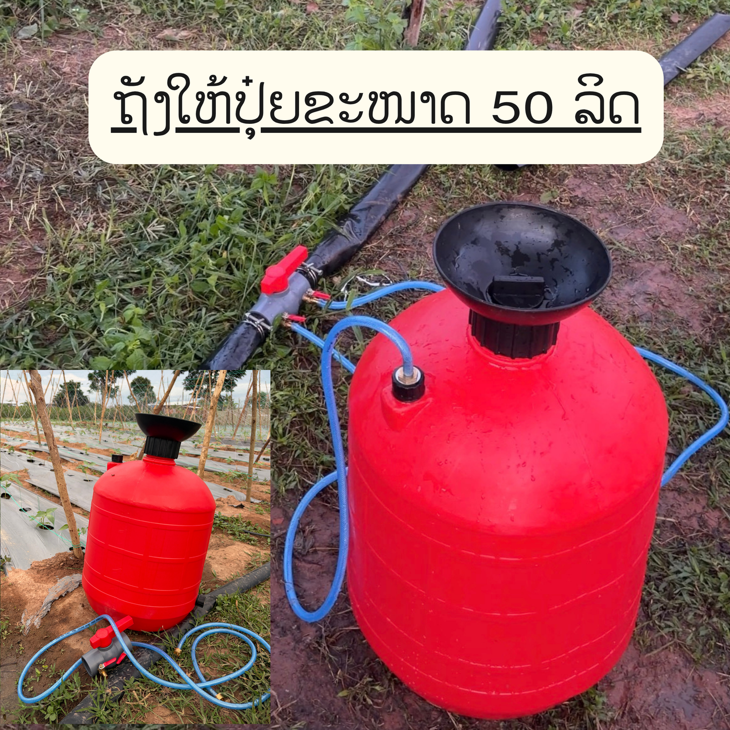 ຖັງໃຫ້ປຸ໋ຍ 50 ລິດ