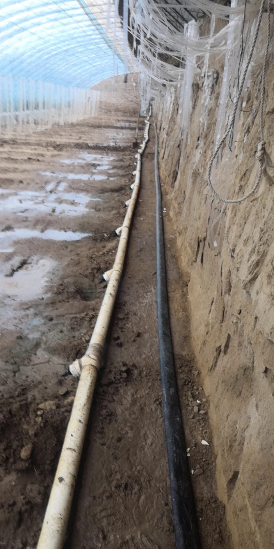 ທົ່ງສົ່ງນ້ຳ pe ອ່ອນ