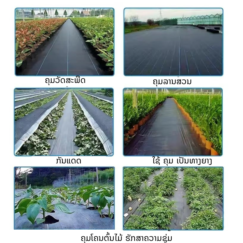 ຜ້າຄຸມດິນນ້ຳຊຶມ 1*100m(ແຖມຕະປູກຢາງ50ອັນ)